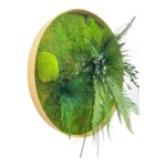 Round Moss Wall Art – Jungle with Moss and Plants - Image 3