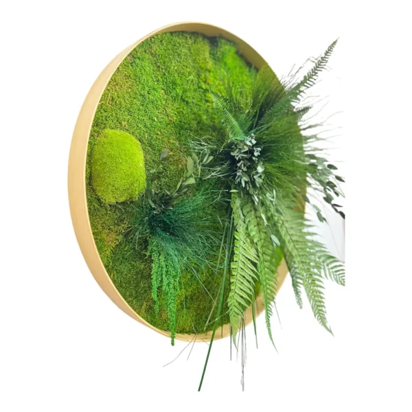 Round Moss Wall Art – Jungle with Moss and Plants - Image 3