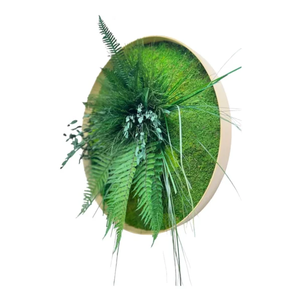 Round Moss Wall Art – Jungle with Moss and Plants - Image 4