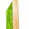 Side profile detail of a natural solid wood frame filled with dense green preserved moss.