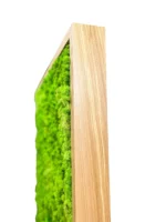 Mobile Wooden and Moss Partitions | Moss Room Divider - Image 12