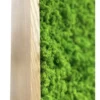Close-up of textured green lichen moss set in a natural solid wood frame