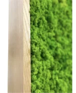 Mobile Wooden and Moss Partitions | Moss Room Divider - Image 13