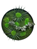 Round Moss Wall Art “Sun Duo”