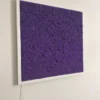Square moss wall art panel with vivid purple reindeer moss in a white frame mounted on a wall.