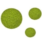 Round Moss Wall Art 3-Piece Set with Reindeer Moss
