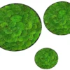 set-kugelmoos-bild-3er_24_02_2024.webp Three circular wall art pieces with textured green ball moss in black frames on a white background.