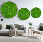 Round Moss Wall Art 3-Piece Set - Reindeer Moss Circles - Image 2