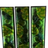 Triptych of backlit vertical moss wall art panels with green and yellow preserved plants in black frames