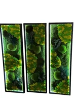 Plant Wall Art: Set of Moss Pictures Made from Real Plants - Image 9