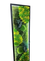 Plant Wall Art: Set of Moss Pictures Made from Real Plants - Image 10