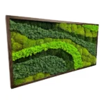 Moss Picture “Palette of Nature” with Mixed Moss - Image 2