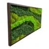 Angled side view of rectangular moss wall art with mixed green moss textures in a dark wood frame