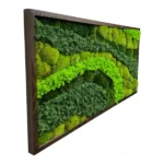 Moss Picture “Palette of Nature” with Mixed Moss - Image 4