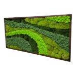 Moss Picture “Palette of Nature” with Mixed Moss - Image 3