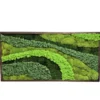 Rectangular framed preserved moss wall art featuring textured multi-layer patterns