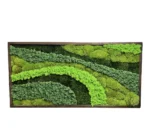 Moss Picture “Palette of Nature” with Mixed Moss