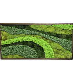 Moss Picture “Palette of Nature” with Mixed Moss