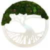 Round tree of life wall art crafted with wooden silhouette, preserved moss canopy, and small pine cones