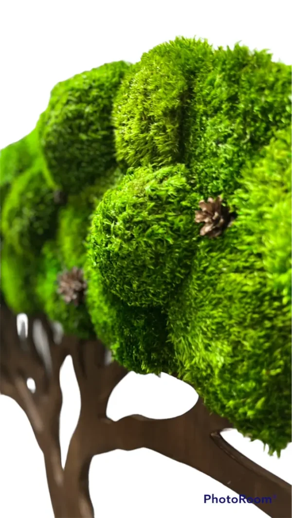 Moss Tree with Provence Moss and Cones. Tree of Life - Image 5