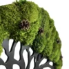 Close-up of green moss and small pine cones on a dark wooden Tree of Life frame