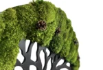 Moss Tree with Provence Moss and Cones. Tree of Life - Image 3
