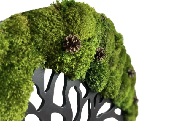 Moss Tree with Provence Moss and Cones. Tree of Life - Image 3