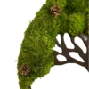 Side view of dark brown wooden tree frame edge featuring textured green moss and pine cones