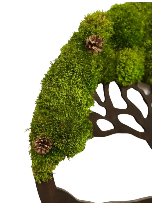 Moss Tree with Provence Moss and Cones. Tree of Life - Image 2