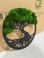 Moss Tree in Ring with Cladophora Balls - Image 2