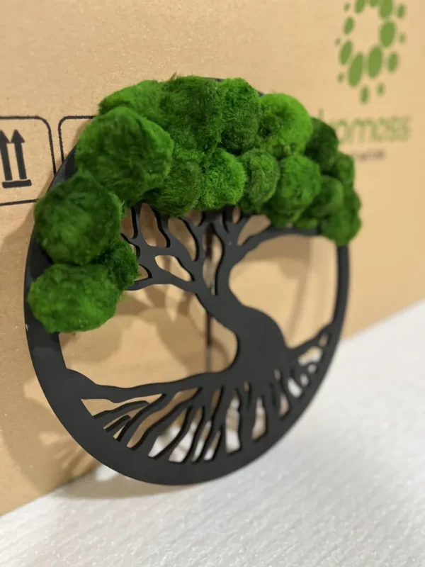 Moss Tree in Ring with Cladophora Balls - Image 2