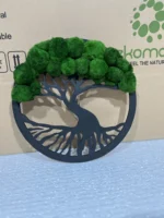Moss Tree in Ring with Cladophora Balls - Image 3