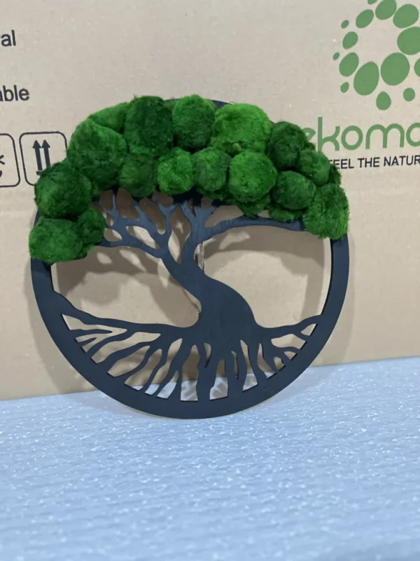 Moss Tree in Ring with Cladophora Balls - Image 3