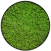 Round framed wall art featuring preserved reindeer moss
