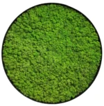 Ekomoss Round DIY Moss Picture Set – Reindeer Moss - Image 9