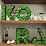 3D Wood Letters for Logo with Iceland Moss A–Z 0–9 - Image 3