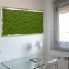 Rectangular green preserved moss wall art hanging above a modern glass desk in an office