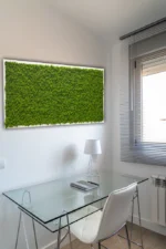 DIY Moss Picture Kit – Reindeer Moss - Image 5