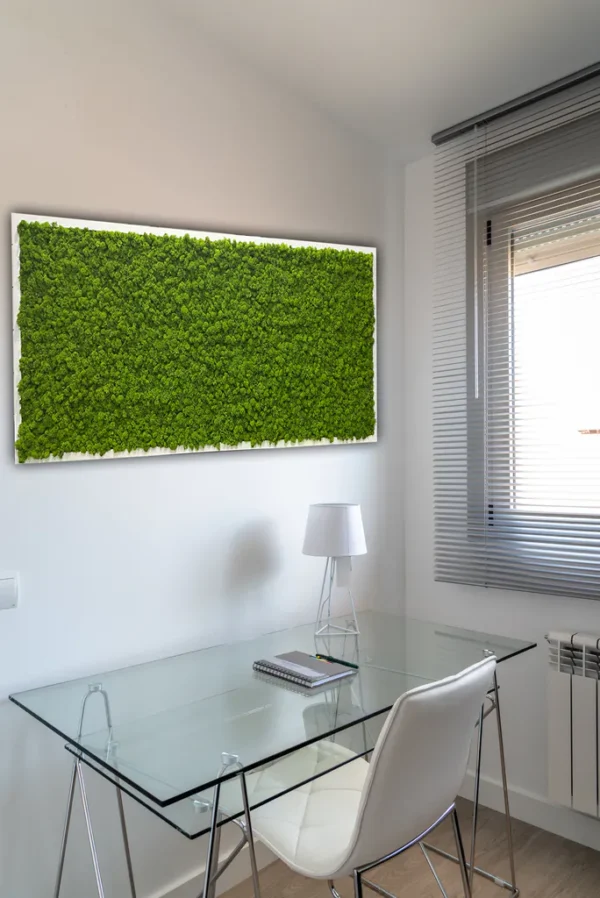 DIY Moss Picture Kit – Reindeer Moss - Image 5