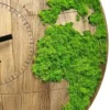 Close-up of wooden world map clock showing bright green preserved moss continents and engraved dial grid.