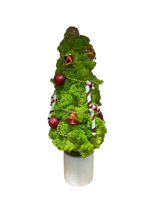 Lichen moss Christmas tree with festive holiday ornaments in a cylindrical vase.