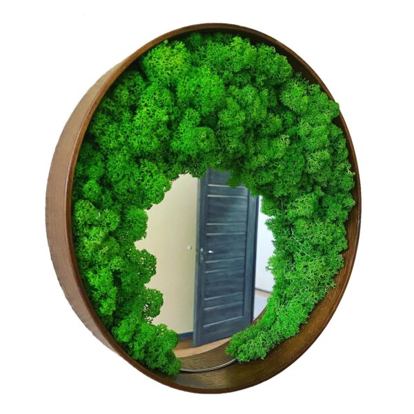 Round Framed Mirror with Iceland Moss - Image 2