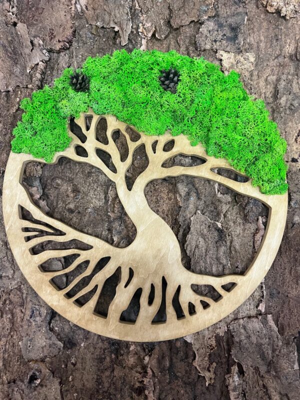 Moss Tree with Iceland Moss. Tree of Life - Image 5