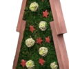 Wooden Christmas tree decoration filled with green moss, decorated with red wooden stars and woven string balls.