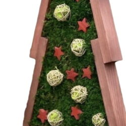 Wooden Christmas tree decoration filled with green moss, decorated with red wooden stars and woven string balls.