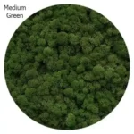 Medium Green