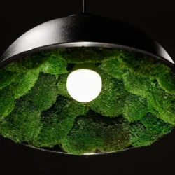 Dark pendant light with a white bulb, its interior lined with vibrant green moss.