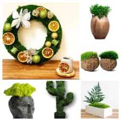 Various moss decorations: wreath with dried oranges, glitter balls, white butterfly; cactus sculpture; fern in white planter; and diverse moss pots.
