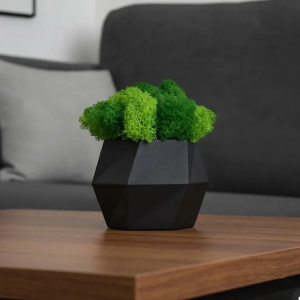 Hexagon Vase with Iceland Moss – Handcrafted Decor