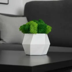 Hexagon Vase with Iceland Moss – Handcrafted Decor
